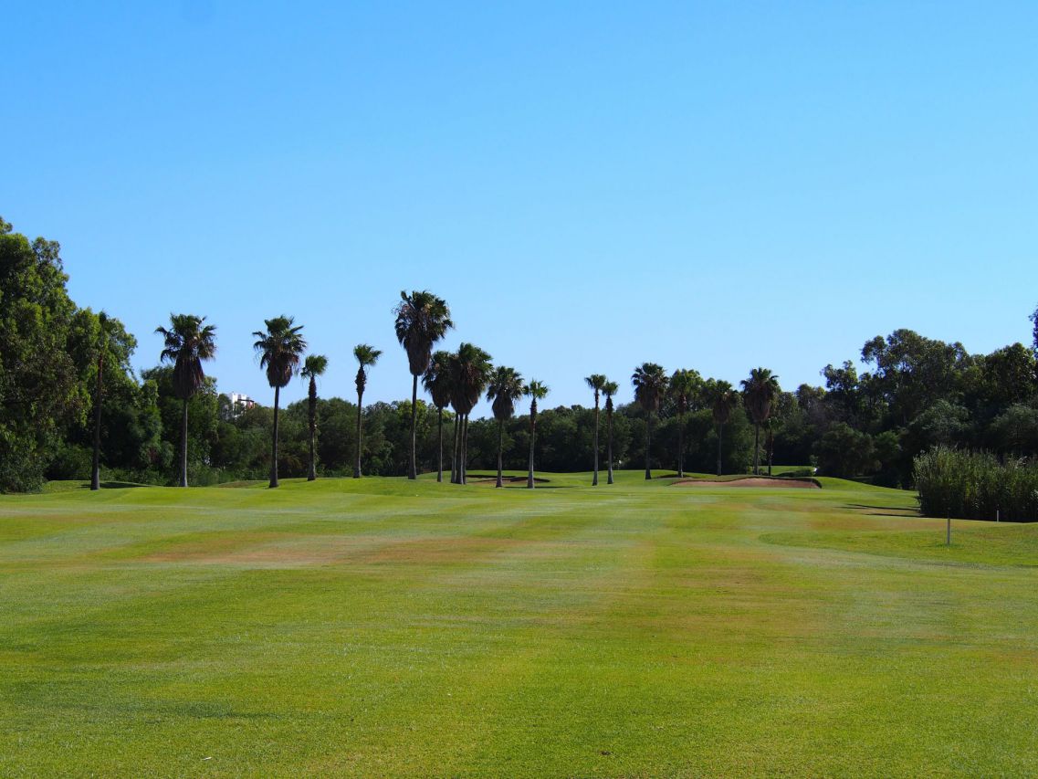ゴルフ会員権の魅力と取得方法 – 長野で楽しむゴルフのご提案